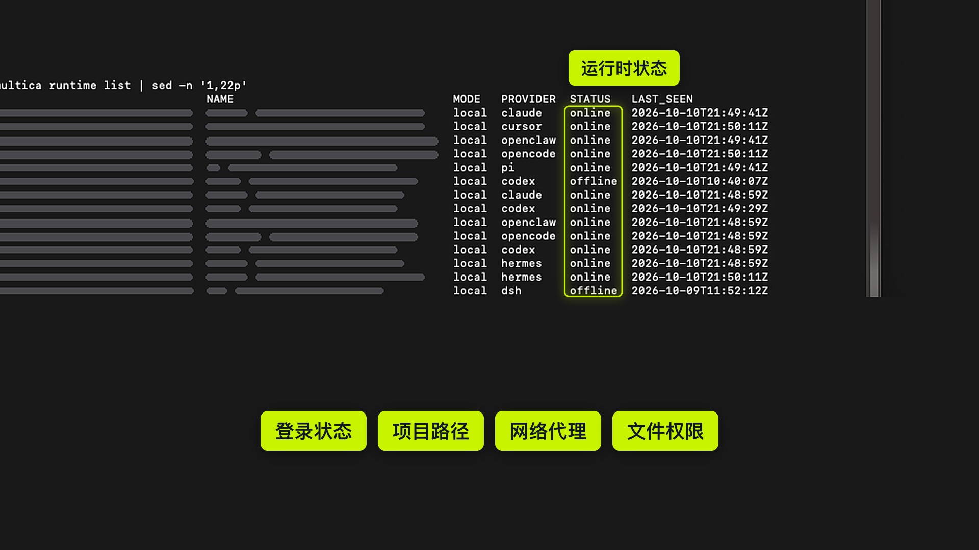 runtime list 的 STATUS 列,展示在线与离线运行端